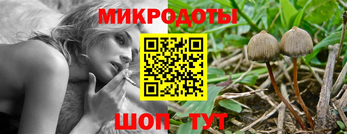Лесозаводск  Псилоцибиновые грибы MAGIC MUSHROOMS  Вход с VPN 